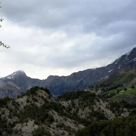 Du Couard